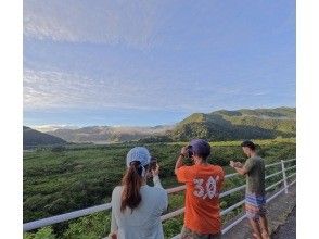 プランの魅力 Morning mangroves from above の画像