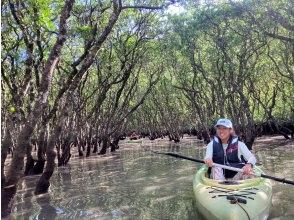 プランの魅力 Have the mangroves all to yourself! の画像