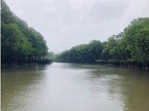 プランの魅力 雨でも大丈夫！ の画像