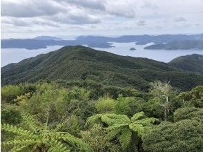 プランの魅力 森と海！ の画像