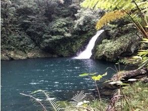 プランの魅力 神秘の滝 の画像