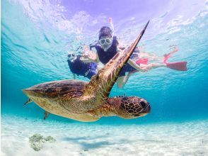 プランの魅力 写真データ無料！ の画像