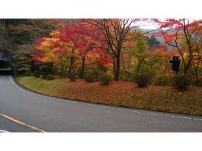 プランの魅力 比叡山延暦寺 の画像