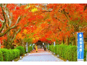 プランの魅力 西教寺 の画像