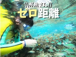 プランの魅力 Natural aquarium の画像