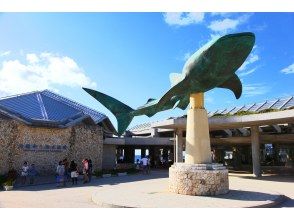 プランの魅力 美ら海水族館 の画像