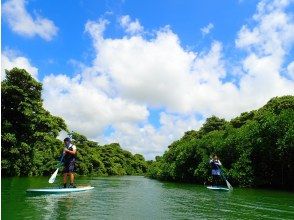 プランの魅力 ประสบการณ์ SUP/พายเรือแคนูในป่าชายเลน อนุสรณ์สถานทางธรรมชาติ! の画像