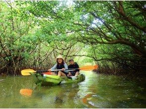 プランの魅力 ล่องเรือในป่าจริง! の画像