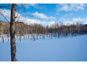 プランの魅力 雪に覆われた青い池 の画像