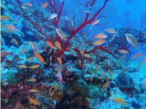 プランの魅力  の画像