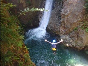 プランの魅力 Of course, diving is also a thrill. の画像