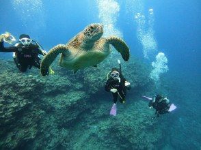 プランの魅力  の画像