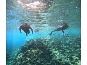 プランの魅力 広い海で自由に泳ごう の画像