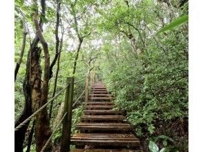 プランの魅力 歩きやすい遊歩道 の画像