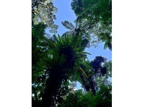 プランの魅力  の画像