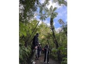 プランの魅力 の画像