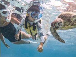プランの魅力 Sea turtle encounter rate 100% ongoing! の画像
