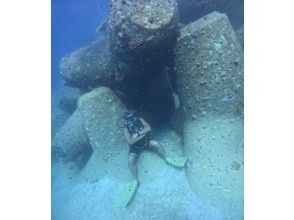 プランの魅力 View of tetrapods from underwater の画像