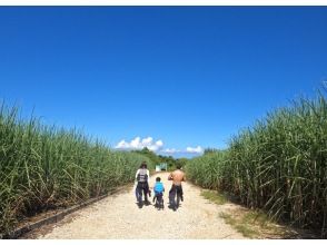 プランの魅力 ご家族、友人との大切な思い出に・・・ の画像