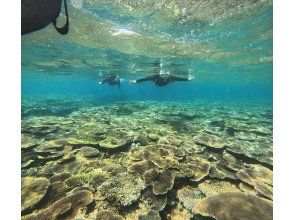 プランの魅力 自然豊かな場所で の画像