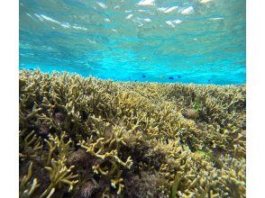 プランの魅力  の画像