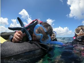 プランの魅力 生き物たちとの触れ合い の画像