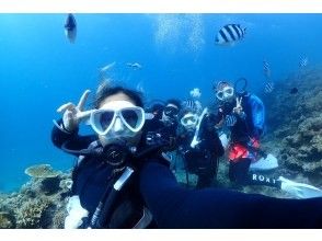 プランの魅力 親切で優しいスタッフです♪ の画像