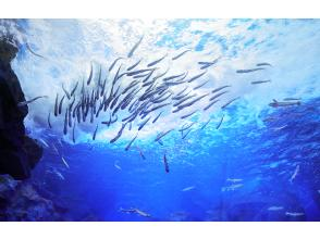プランの魅力 淡水魚専門の水族館「北の大地の水族館（山の水族館）」 の画像