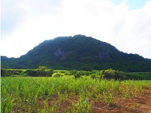 プランの魅力 マンゲー山 の画像