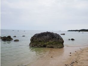 プランの魅力 伊原間の巻石（ハート岩） の画像