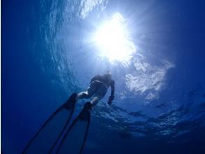プランの魅力 Skin diving on Okinawa's main island の画像