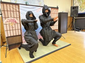 プランの魅力 Ninja の画像