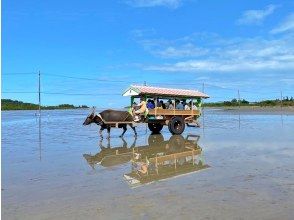 プランの魅力 由布島観光 の画像