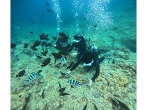 プランの魅力 Enjoy the sea of Okinawa! の画像