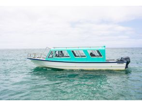 プランの魅力 你甚至可以见到尼莫！ ！海龟遭遇率威胁 の画像
