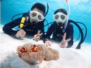プランの魅力 Commemorative photo with Nemo! の画像