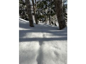 プランの魅力 動物の足跡 の画像