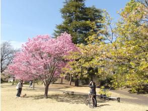 プランの魅力  の画像