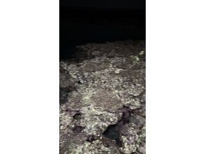 プランの魅力  の画像