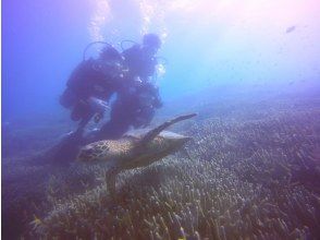 プランの魅力  の画像