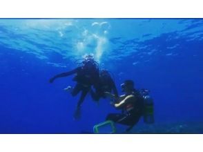 プランの魅力  の画像