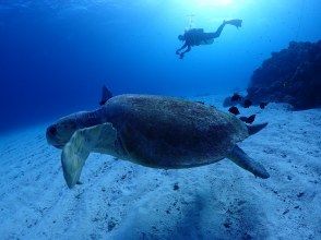 プランの魅力  の画像