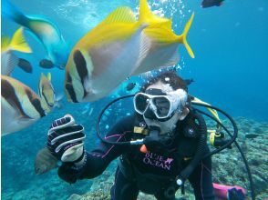 プランの魅力 和熱帶魚玩耍 の画像