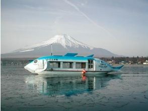 プランの魅力 ドーム船「ワカサギちゃん」 の画像