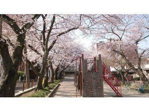 プランの魅力 中堀跡（川口公園） の画像