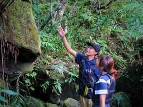 プランの魅力 ツアー業界最高水準の安全性 の画像