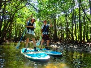 プランの魅力 새로운 감각! SUP(Stand Up Paddleboad) の画像