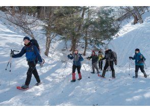 プランの魅力 皆さんのペースで無理なく歩きます の画像