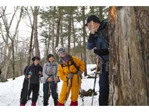 プランの魅力 登山や自然、奥日光のあれこれを解説します の画像