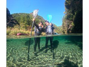 プランの魅力 春秋冬は1年の中でも抜群の透明度 の画像